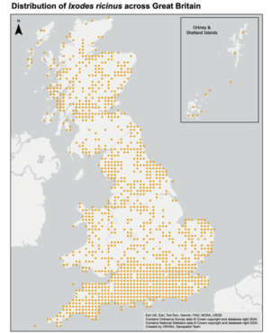 TBE UK maps